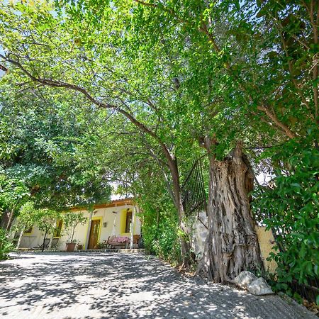 Small Villa Gerani Agios Vlasios  Dış mekan fotoğraf
