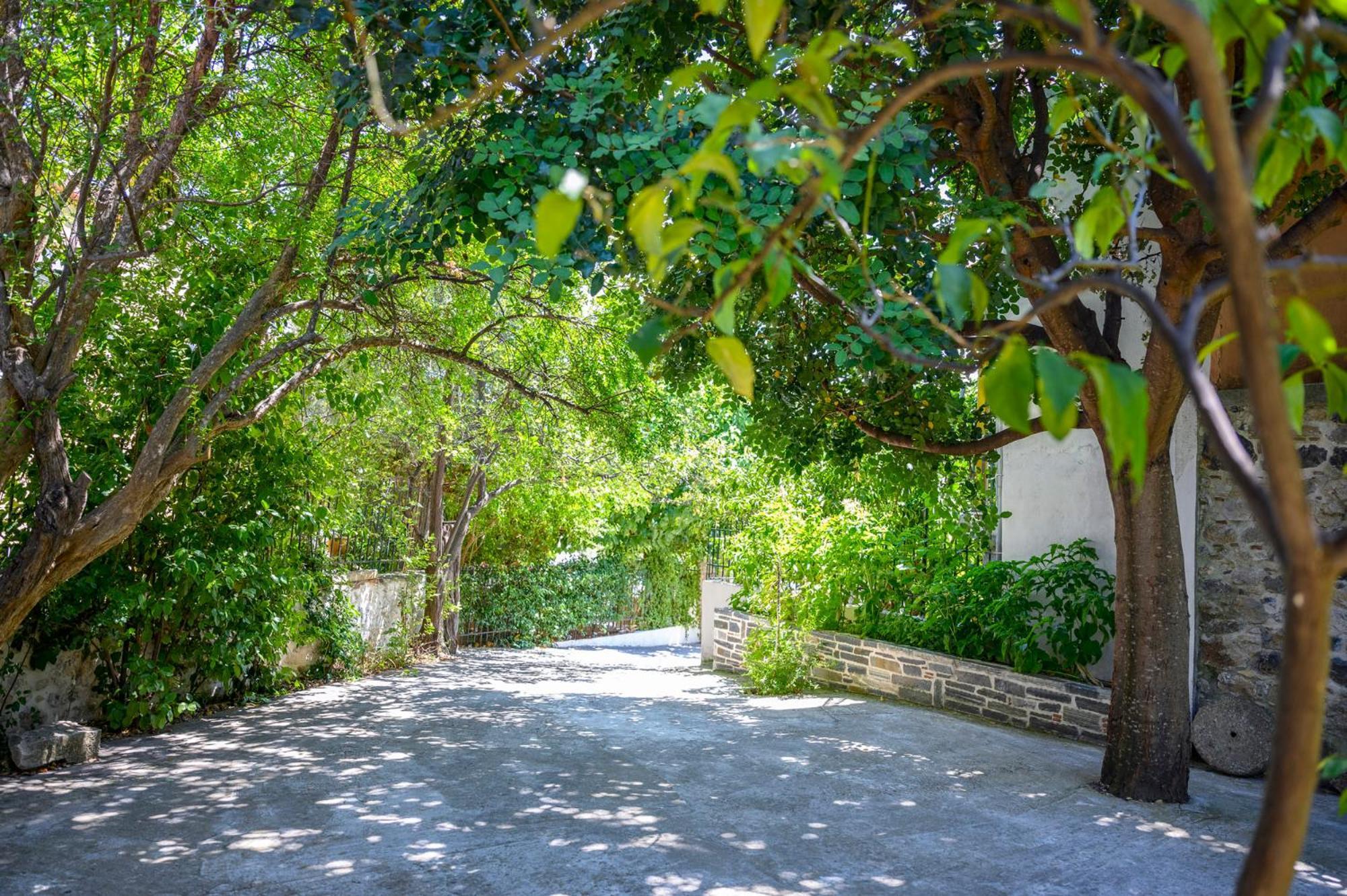 Small Villa Gerani Agios Vlasios  Dış mekan fotoğraf